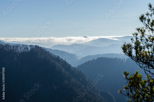 Panorama z Pienin 