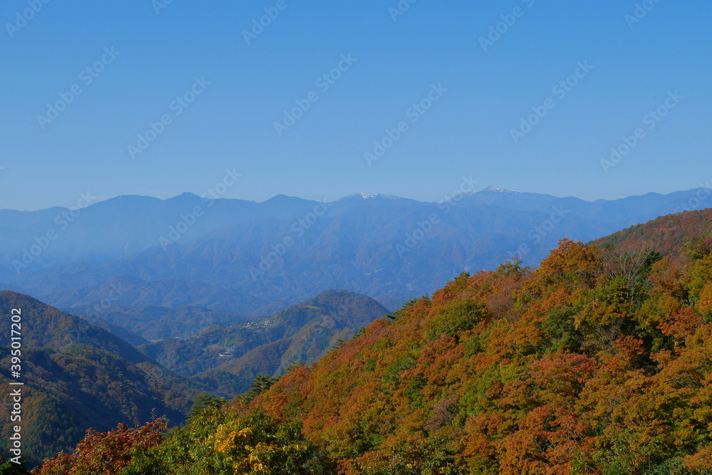 山梨県身延町・南アルプス展望台からの紅葉の山肌の向こうの南アルプス 山梨県身延町・南アルプス展望台からの紅葉の山肌の向こうの南アルプス