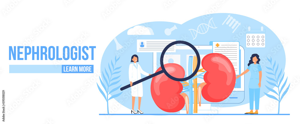 Fototapeta premium Nephropathy concept vector. Tiny doctors treat kidneys. Pyelonephritis and kidney stones diseases are shown. Renal failure illustration for website