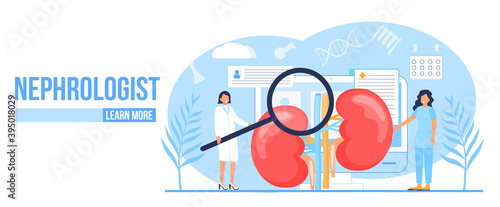 Nephropathy concept vector. Tiny doctors treat kidneys. Pyelonephritis and kidney stones diseases are shown. Renal failure illustration for website