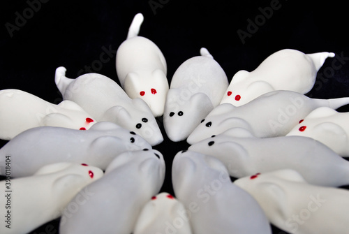 Sweet white mice from marschmallow, foamy sugar, flat layed in form of a star for Christmas on black background photo