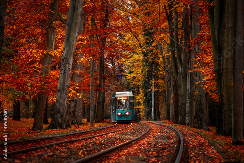 blue tram in the autumn forest in poland wroclaw