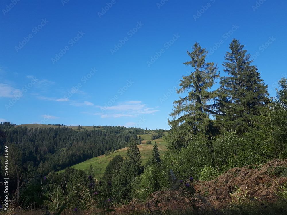 Carpathian mountains, trees, clouds, landscape