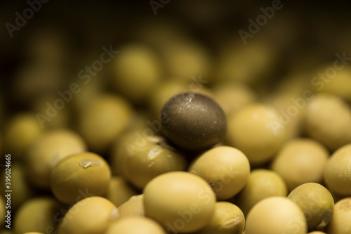 A pile of soy beans