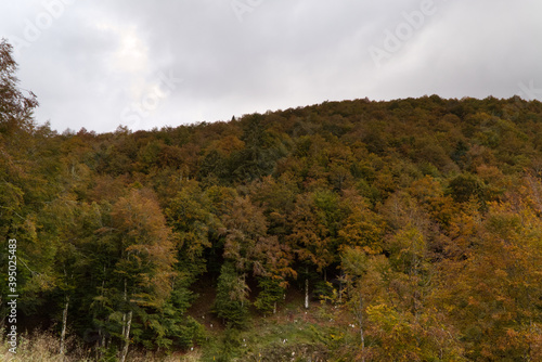 Autumn in the mountains of Friuli, Italy