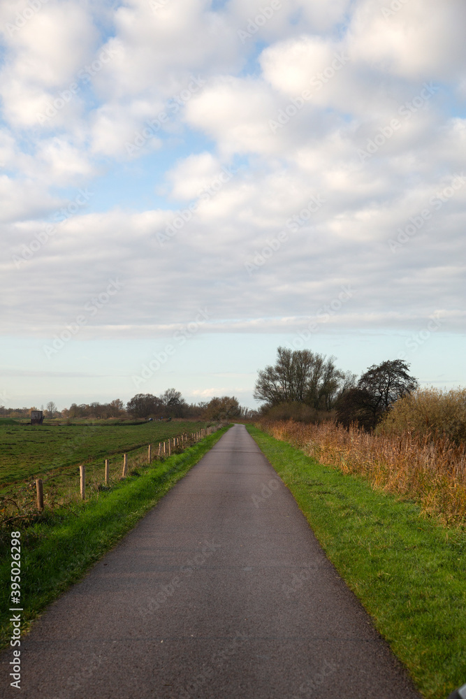 Straight road on dike, Biesbosch National Park, North Brabant, Netherlands