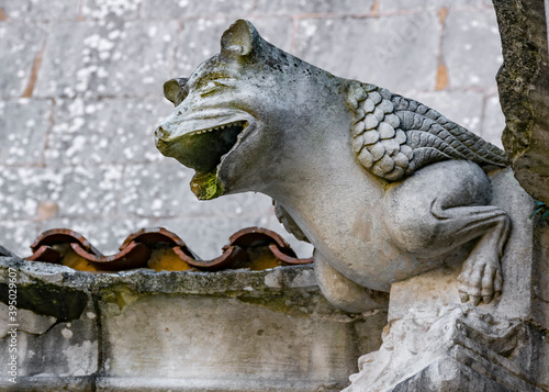 Gargoyle Resembling An Animal With Multiple Characteristics in Alcobaça, Portugal