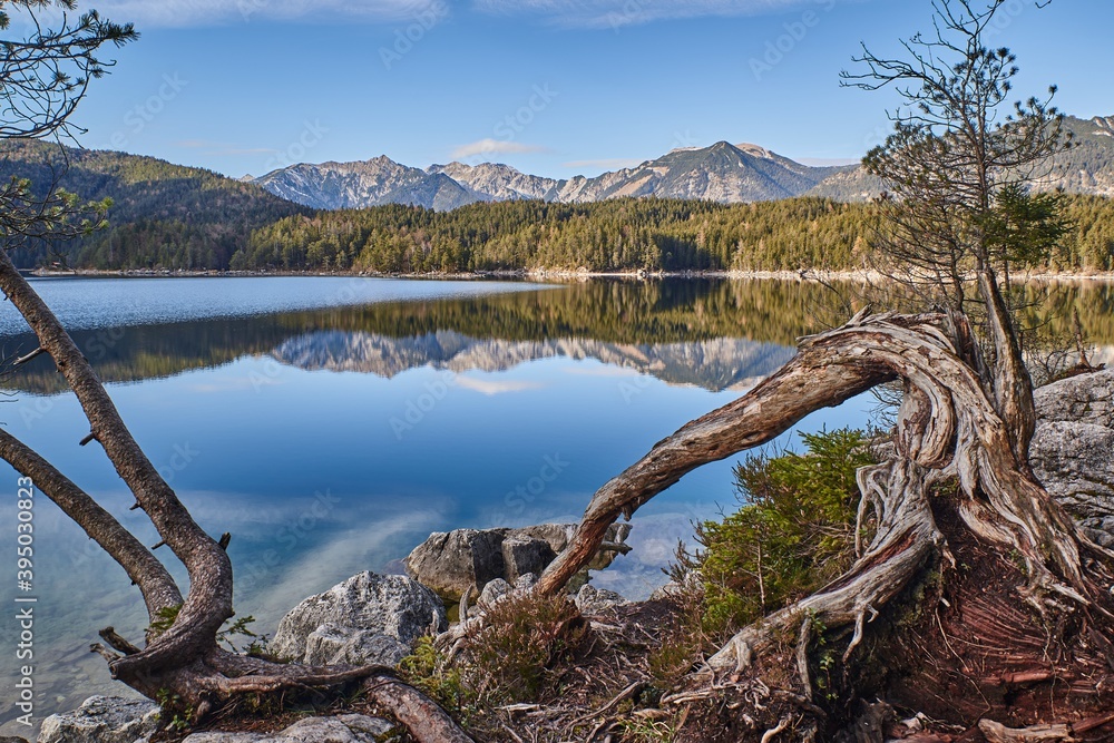 Gnarled tree in front of a reflectin mountain lake during sunset. Gnarled tree in front of a reflectin mountain lake during sunset.