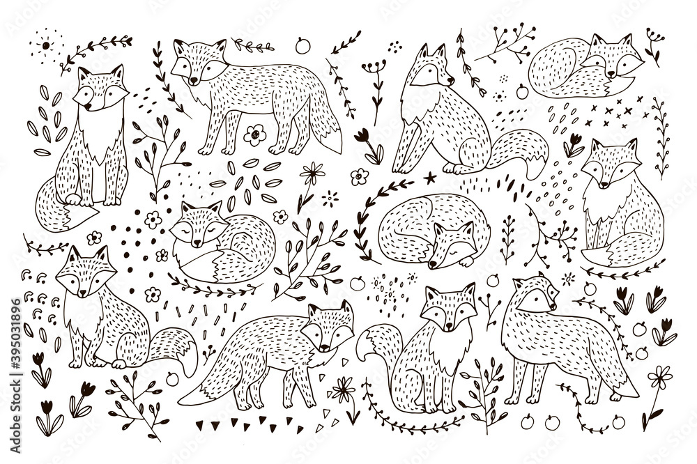 Fox forest animals hand drawn vector illustrations set