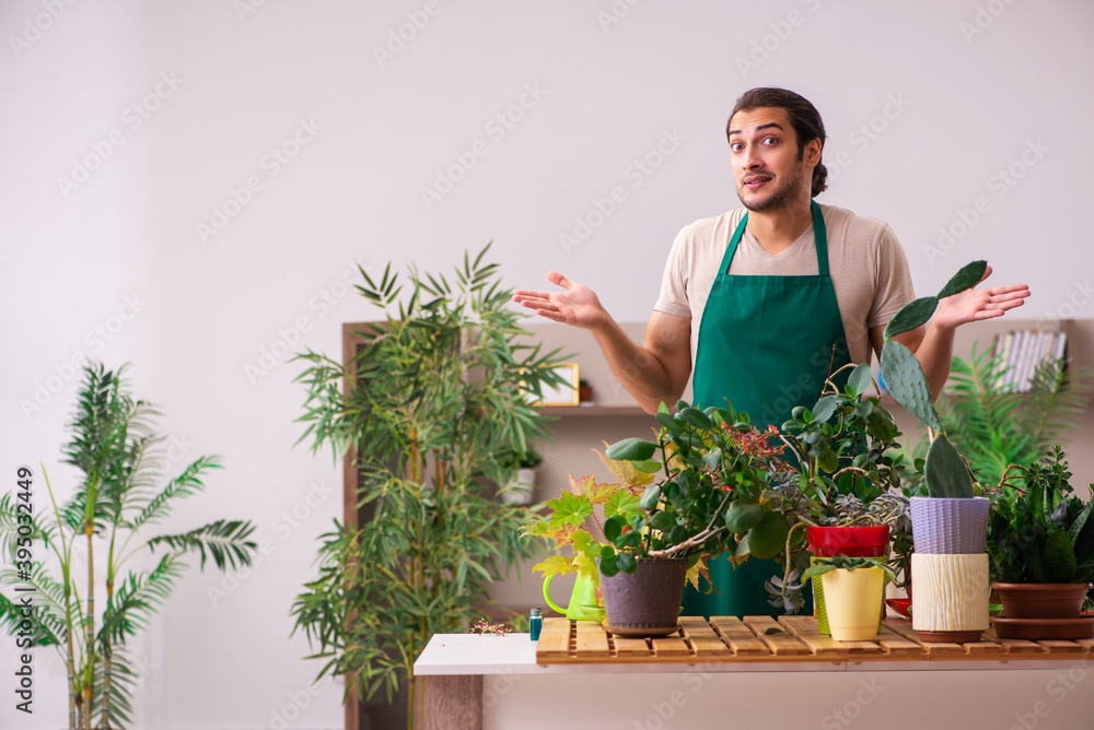 Young male gardener with plants indoors Young male gardener with plants indoors