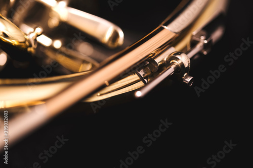 Part of a French horn © Janisphoto