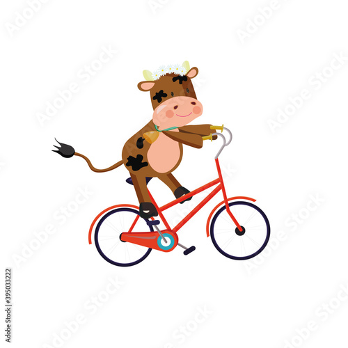 Bull wearing chamomile wreath riding a bike. Vector illustration.