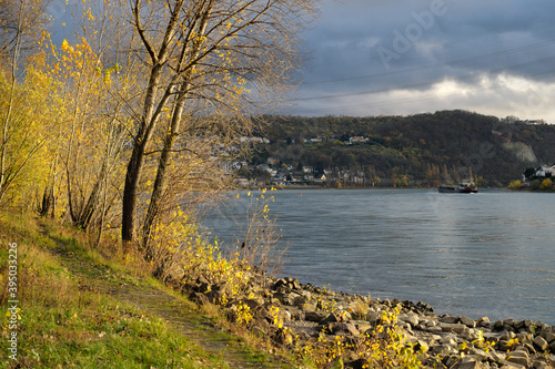 Flussufer des Rheins bei Niederwerth im Herbst mit Binnenschiff auf dem Fluss - Stockfoto