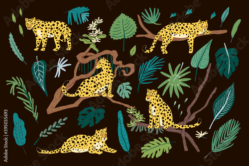 leopards safari animals hand drawn vector illustrations set