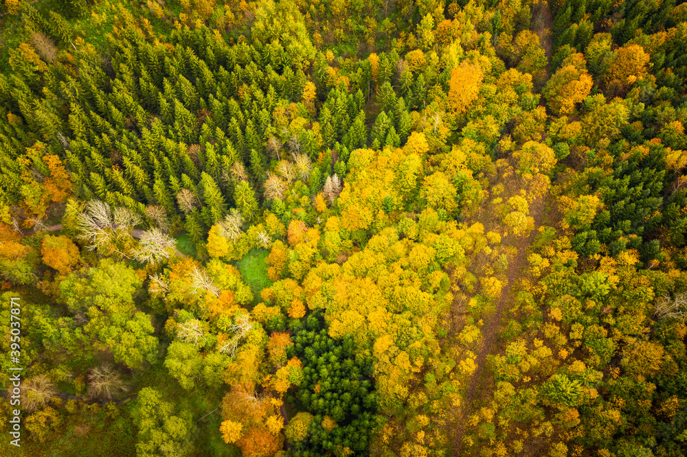 Aerial view of autumn forest in South Styria Green hart of Austria. View at hiking paths in clolorfull alpine forest. Aerial view of autumn forest in South Styria Green hart of Austria. View at hiking paths in clolorfull alpine forest.