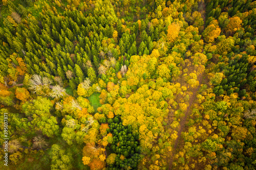 Aerial view of autumn forest in South Styria Green hart of Austria. View at hiking paths in clolorfull alpine forest.