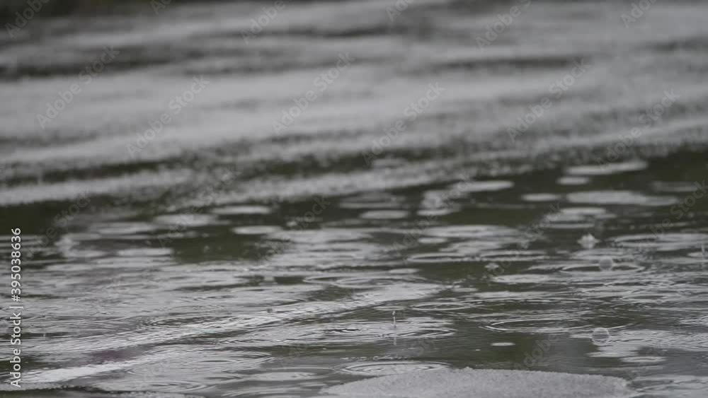 details of rain on the asphalt on a gloomy autumn day details of rain on the asphalt on a gloomy autumn day