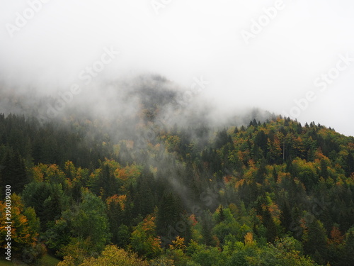 Photo couleur de la forêt en automne avec couleurs orange, vert, jaune, brume et nuages, ciel blanc, pendant une randonnée ou balade