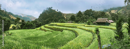 Rice Terraces in Doi inthanon national park in chiang Mai province, Thailand © pierrick
