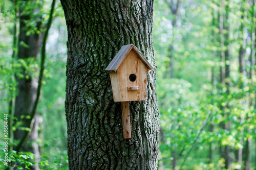 Wooden birdhouse for birds on a tree in the forest. Birdhouse close-up with mockup