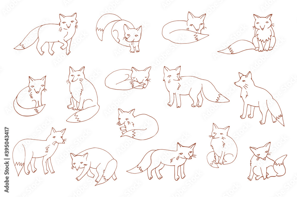 Fox forest animals hand drawn vector illustrations line set