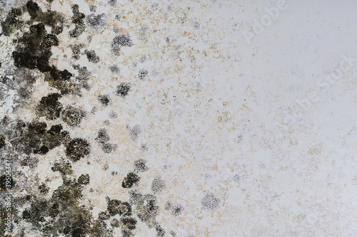 Heavily moldy wall or furniture side. It can be caused by a damp cold wall