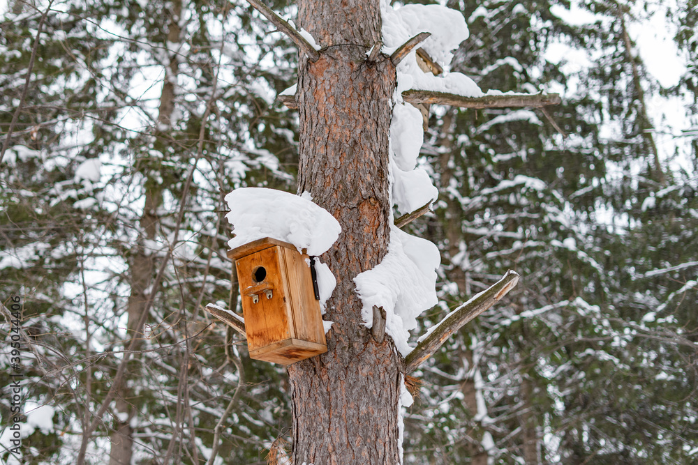 Snow covered wooden bird house hanging on a tree trunk in the city park in winter season close up Snow covered wooden bird house hanging on a tree trunk in the city park in winter season close up