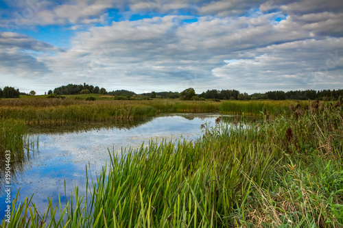 Fototapeta Naklejka Na Ścianę i Meble -  Pond at the end of summer
