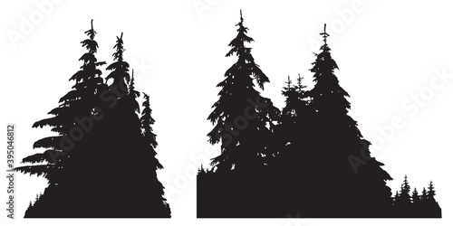 SILHOUETTES DE SAPINS ENNEIGÉS