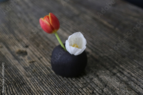 rote und weiße Tulpe in einer kleinen schwarzen vase auf einem holztisch