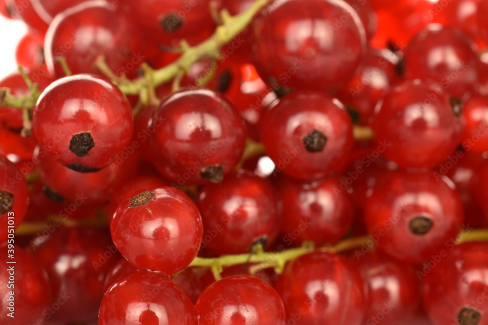Ripe organic, red currants, close-up.