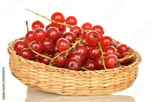 Ripe red currants, close-up, on a white background.