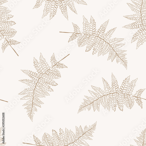 Vector botanical illustration of fern leaf. Isolated outline modern drawing of tropical plant. Set of exotic fern leaves silhouettes. Simple Linear  minimalist boho pattern. © Anna