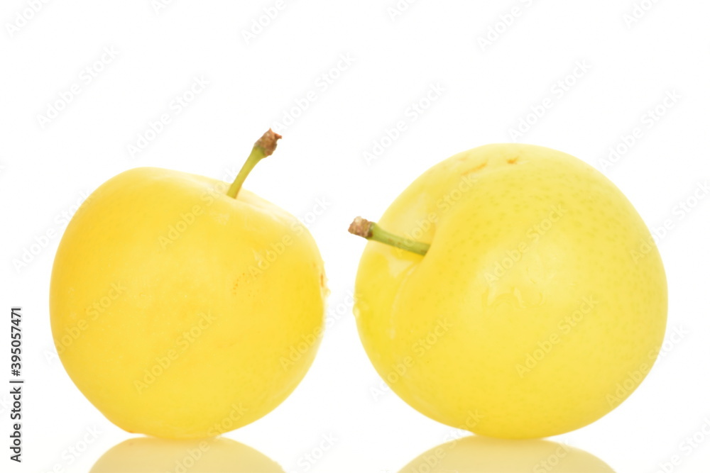 Several juicy bright yellow plums, close-up, on a white background.