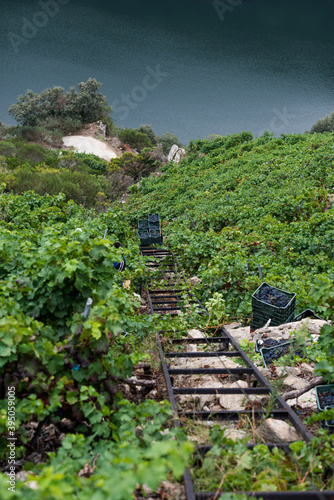 Harvest Elevator, heroic viticulture in the Ribeira Sacra, Galicia, Lugo, Orense, Spain