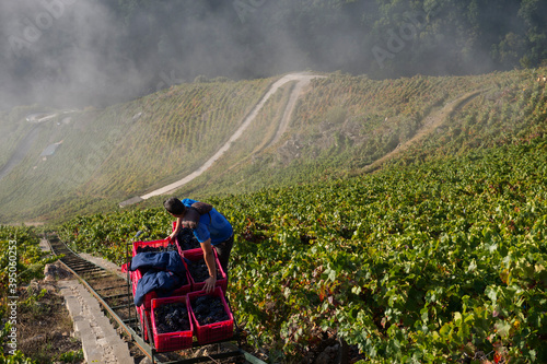 Harvest Elevator, heroic viticulture in the Ribeira Sacra, Galicia, Lugo, Orense, Spain
