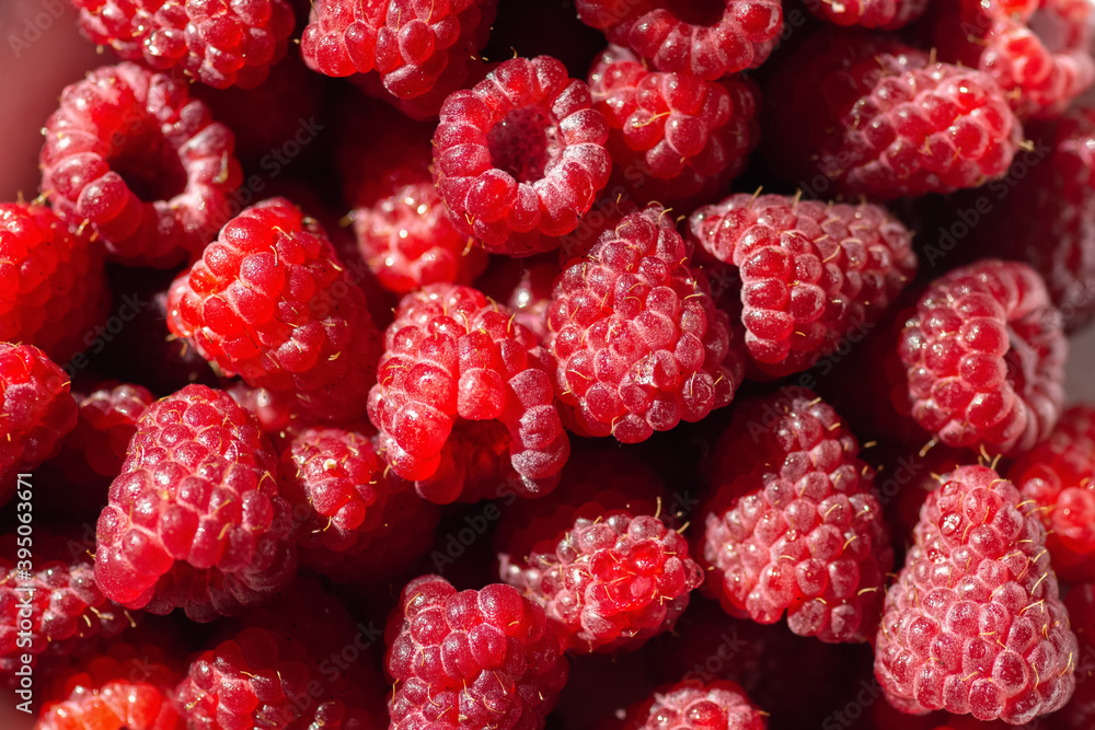 background from berries of a raspberry