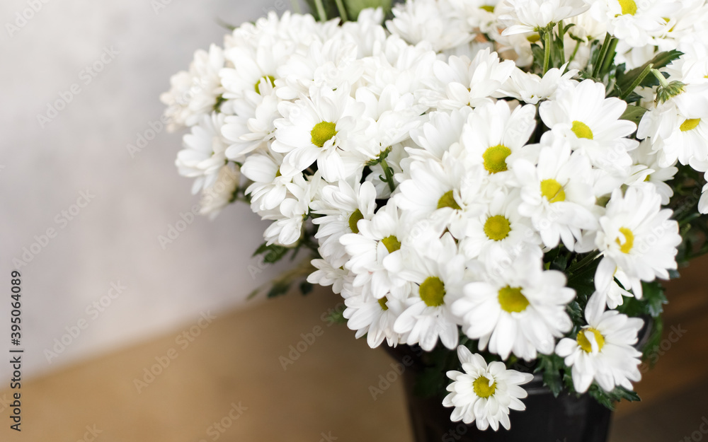 bouquet of white daisies in a vase bouquet of white daisies in a vase