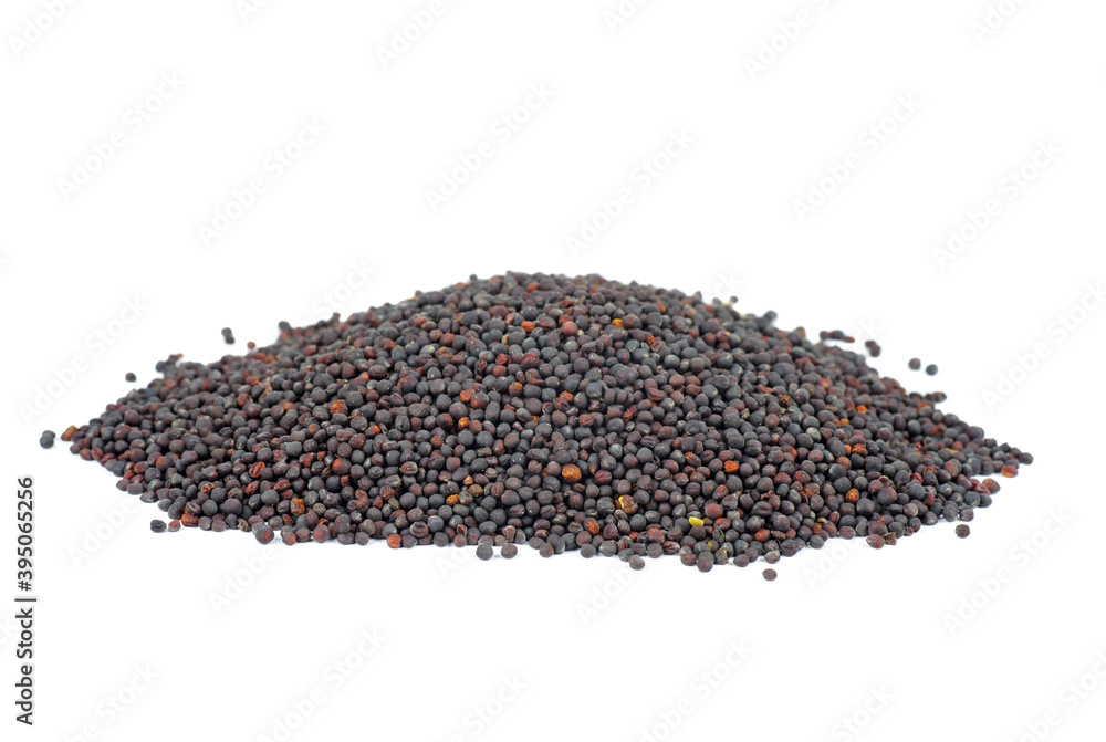 Pile of rape seeds on a white background