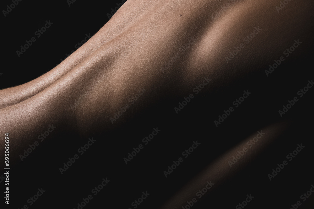 Naklejka premium Bodyscape - Female nude body details