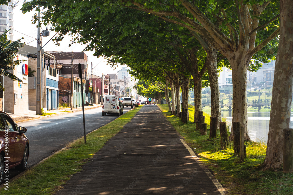 Obraz premium ''Parque do lago'' Lake park on Guarapuava/Brasil 13/10/2020