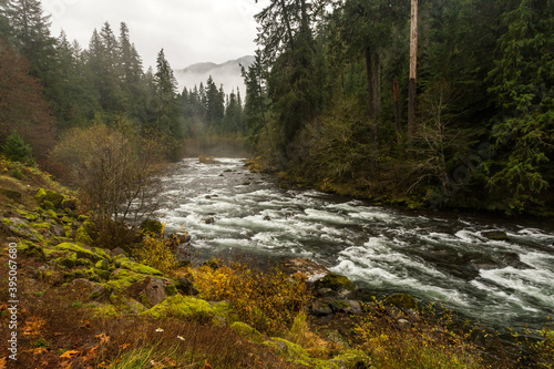 River in fall foggy day. North Santiam river in Oregon photo