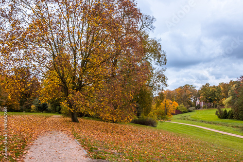 Autumn trees alley with colorful leaves in the park © tmag