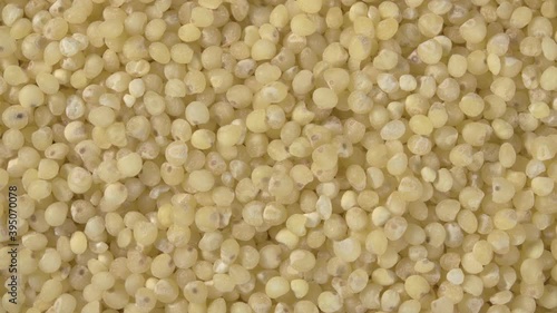 Rotation of pile millet close-up. 4K video. Super macro. Healthy food.