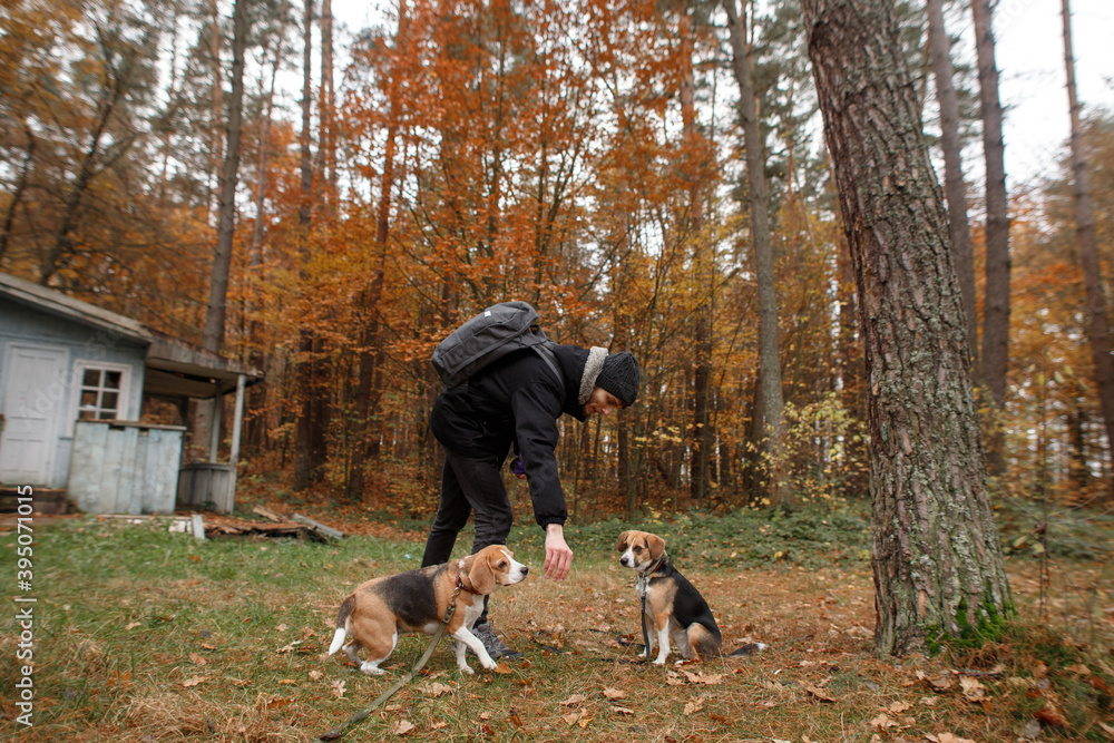 people with two beagle dogs in the forest near old house people with two beagle dogs in the forest near old house