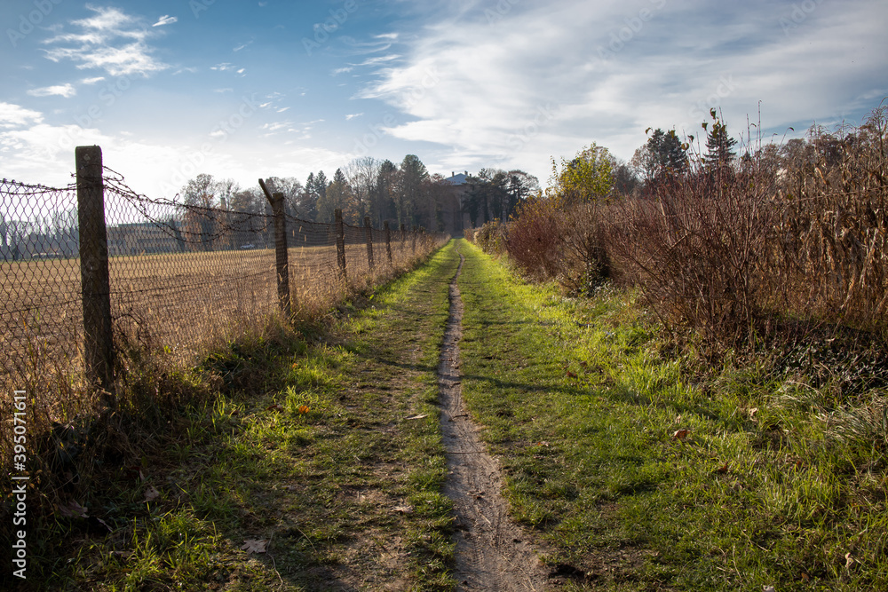 Path between cornfields on a sunny autumn day