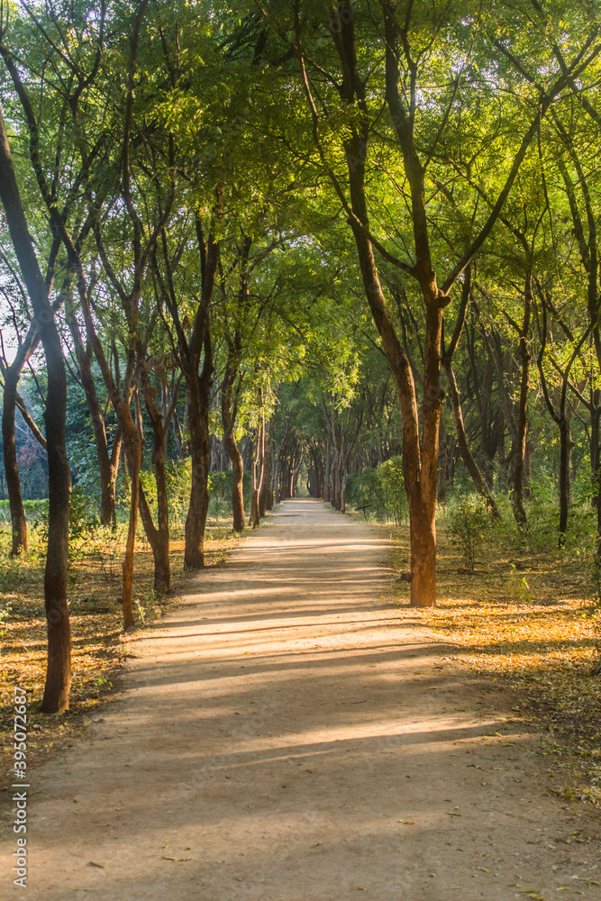 Various views of Punit Van park in Gandhinagar Various views of Punit Van park in Gandhinagar