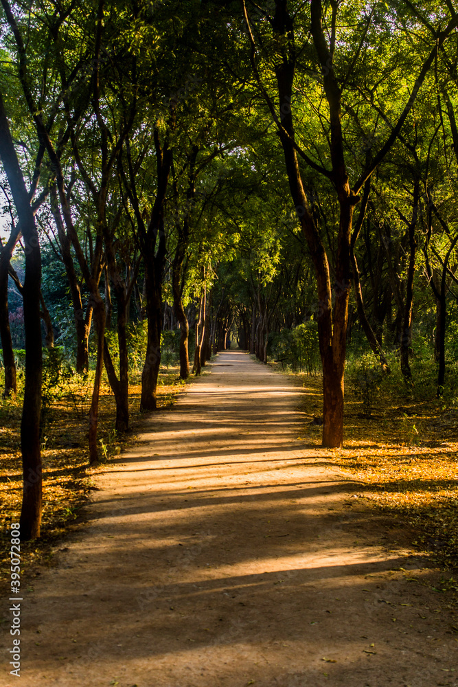 Naklejka premium Various views of Punit Van park in Gandhinagar