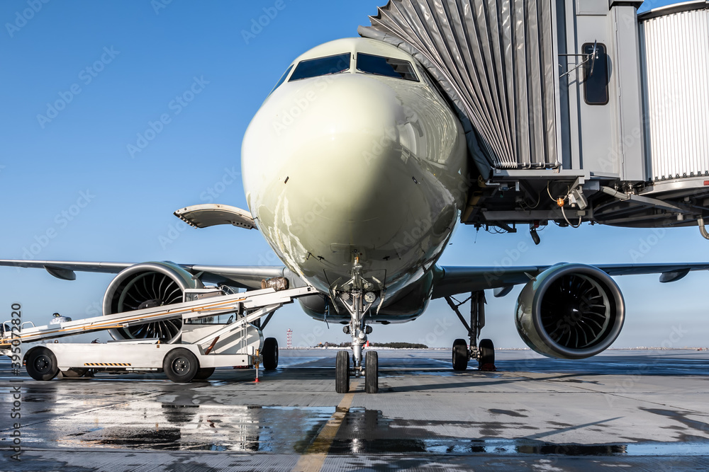 The passenger aircraft stands at the boarding bridge on an airport apron. The baggage compartment of the airplane is open and the luggage is being loaded The passenger aircraft stands at the boarding bridge on an airport apron. The baggage compartment of the airplane is open and the luggage is being loaded