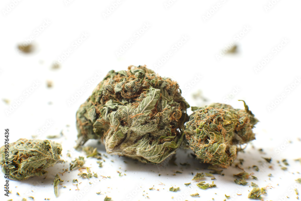 Cannabis branch and joint isolated in a white background. Marijuana legalization. Medical cannabis. Drug addiction. Cannabis branch and joint isolated in a white background. Marijuana legalization. Medical cannabis. Drug addiction.